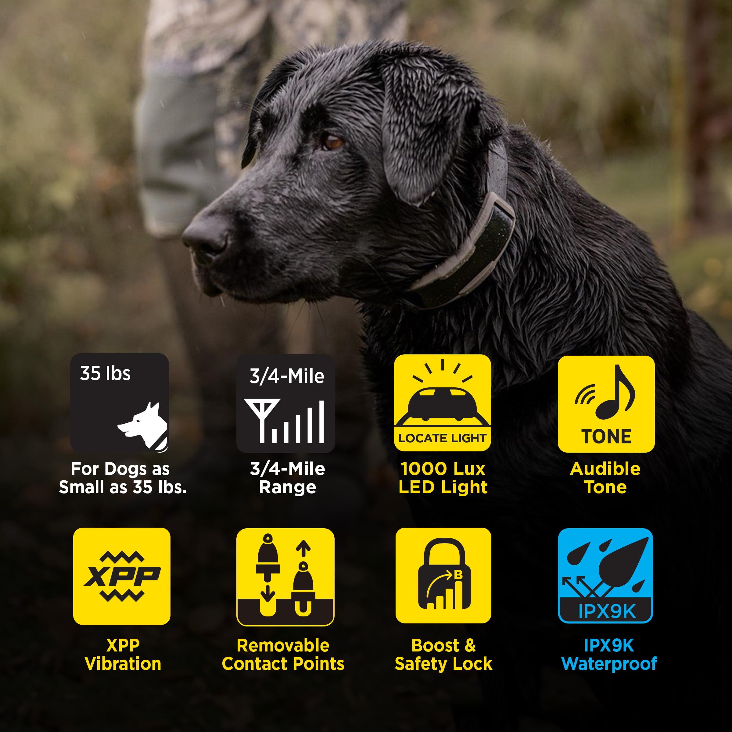 Dogtra 1900X two-dogs training setup enabling mutual practice.