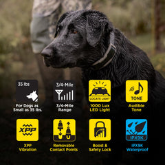 Dogtra 1900X two-dogs training setup enabling mutual practice.
