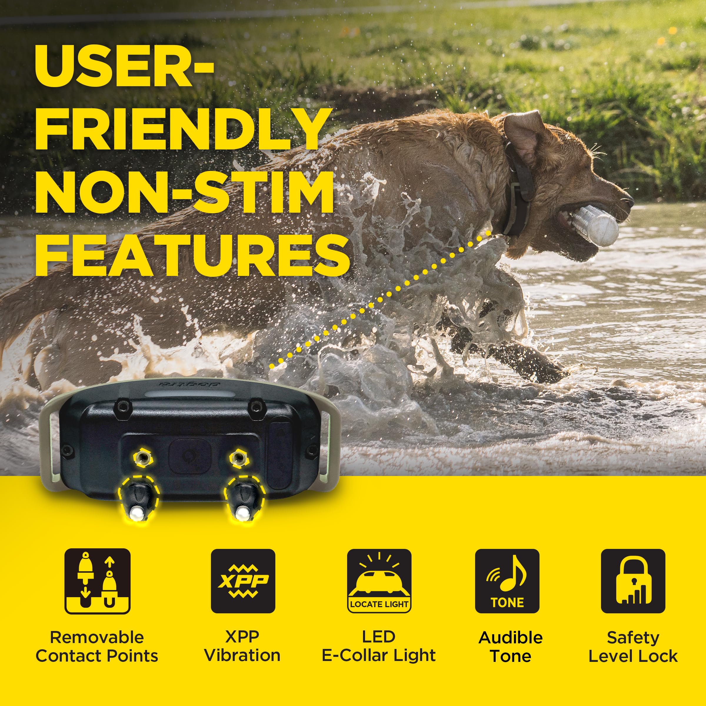 Dogtra 1900X waterproof design for outdoor sessions and durability.