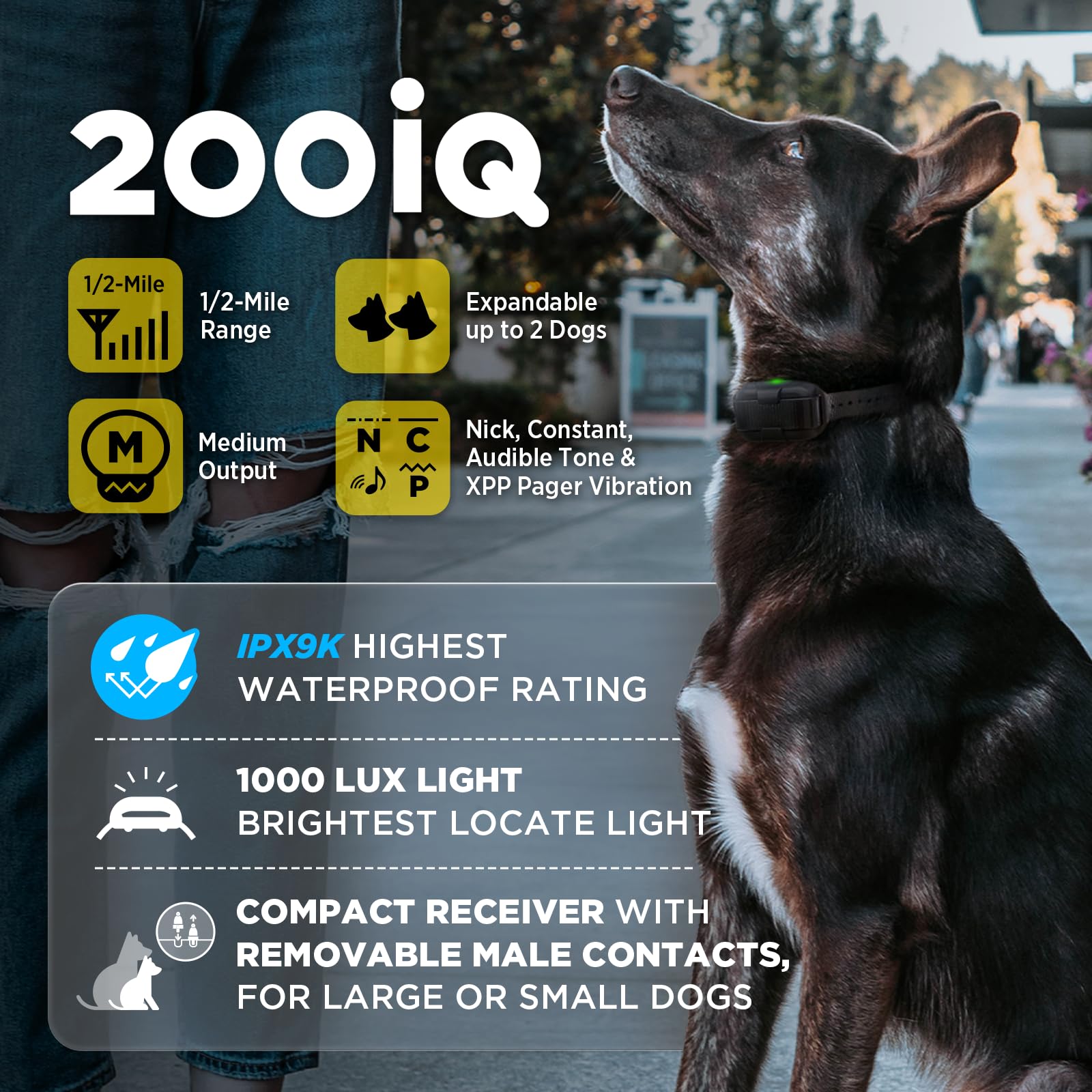 Dogtra 200iQ offers 100 stimulation levels for customization.