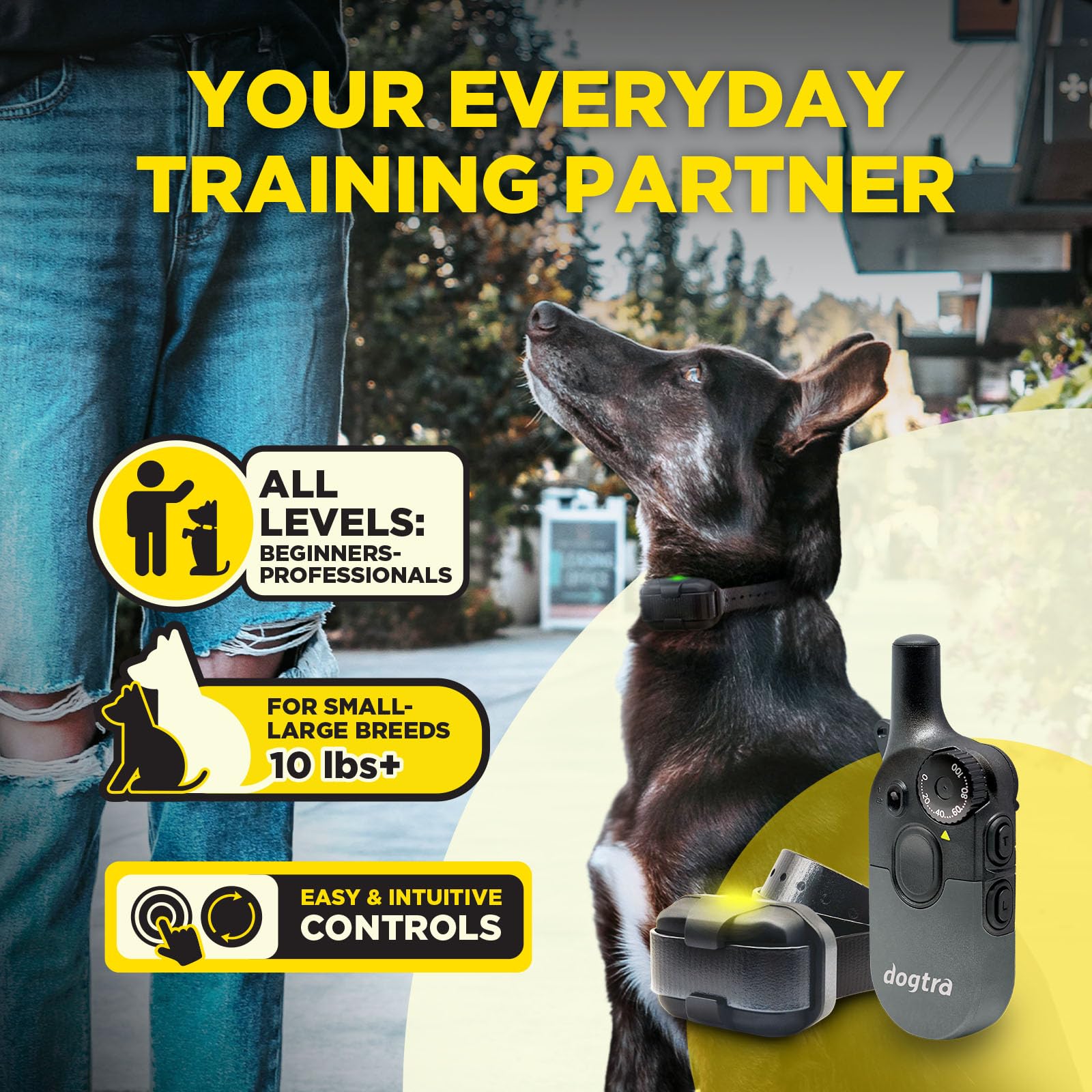 Dogtra 200iQ dual receivers with color-coded straps for quick dog ID.