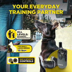 Dogtra 200iQ dual receivers with color-coded straps for quick dog ID.