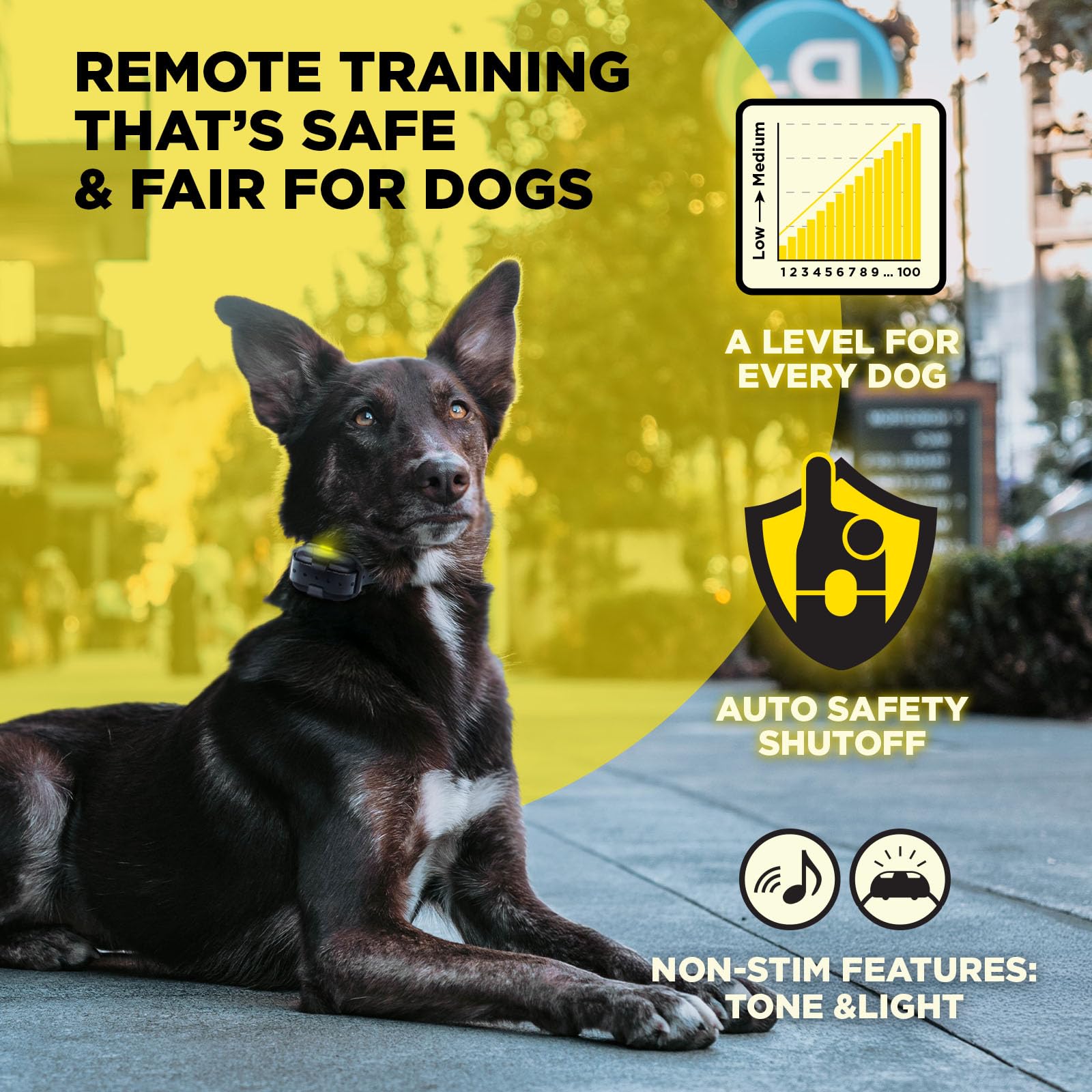 Dogtra 200iQ system with range up to half a mile for outdoor sessions.