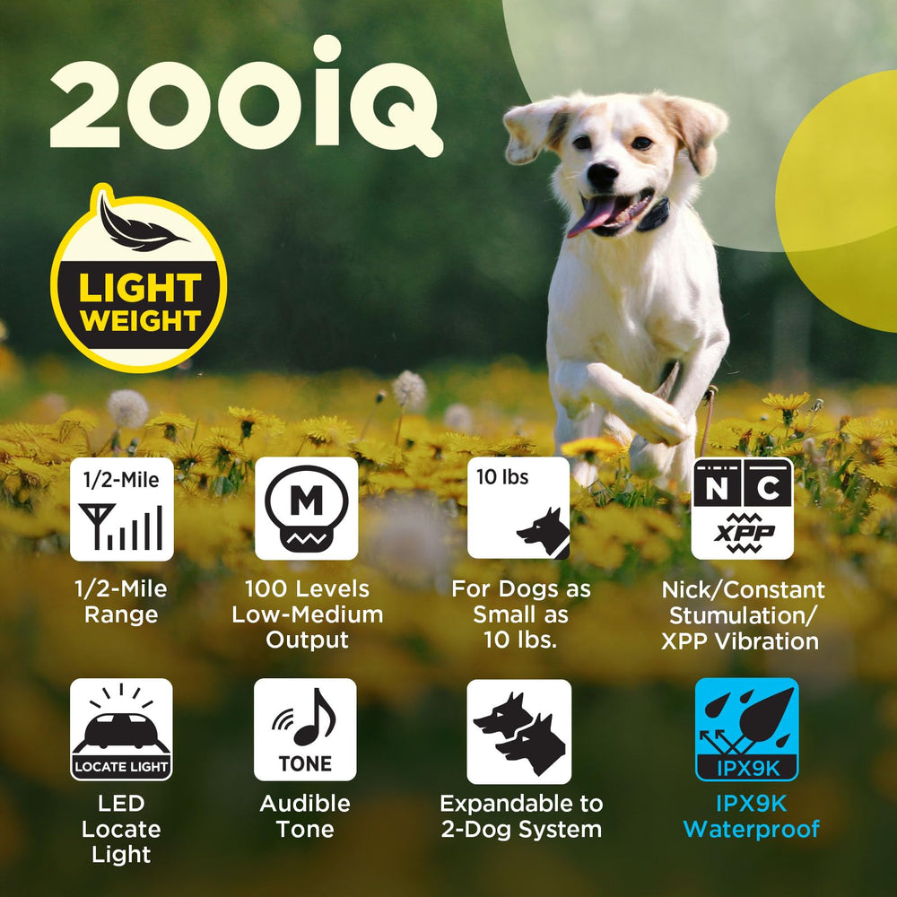 Dogtra 200iQ IPX9K waterproof rating for rain and mud training.