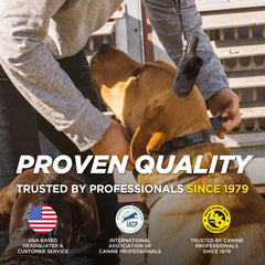 Dogtra 200iQ tone, vibration, and LED feedback for clear signals.