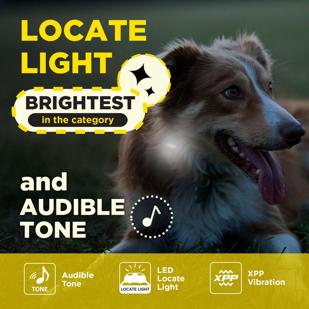 Dogtra 200iQ displaying tone, vibration, and light cues for training.