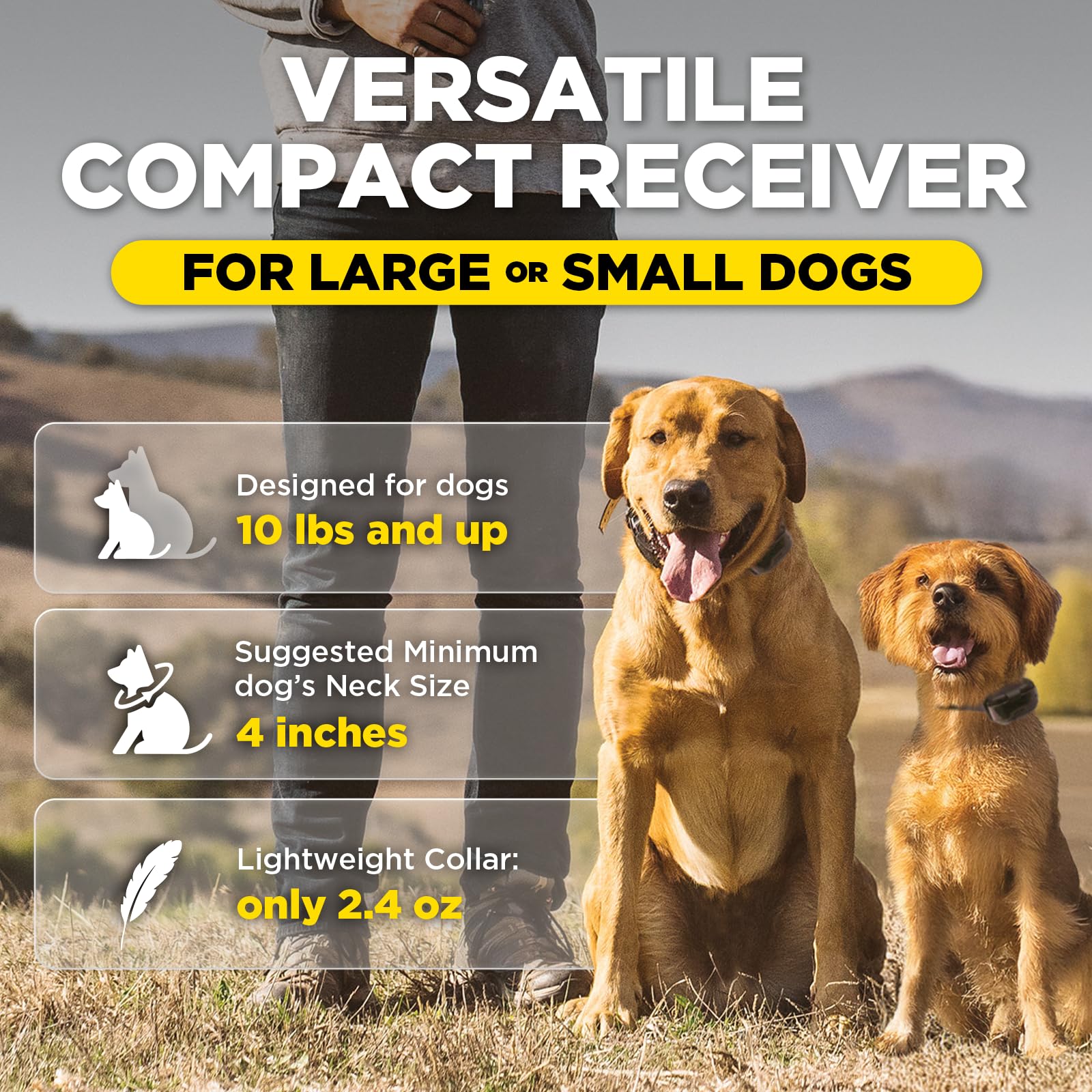 Dogtra 200iQ used during a casual outdoor dog training walk.
