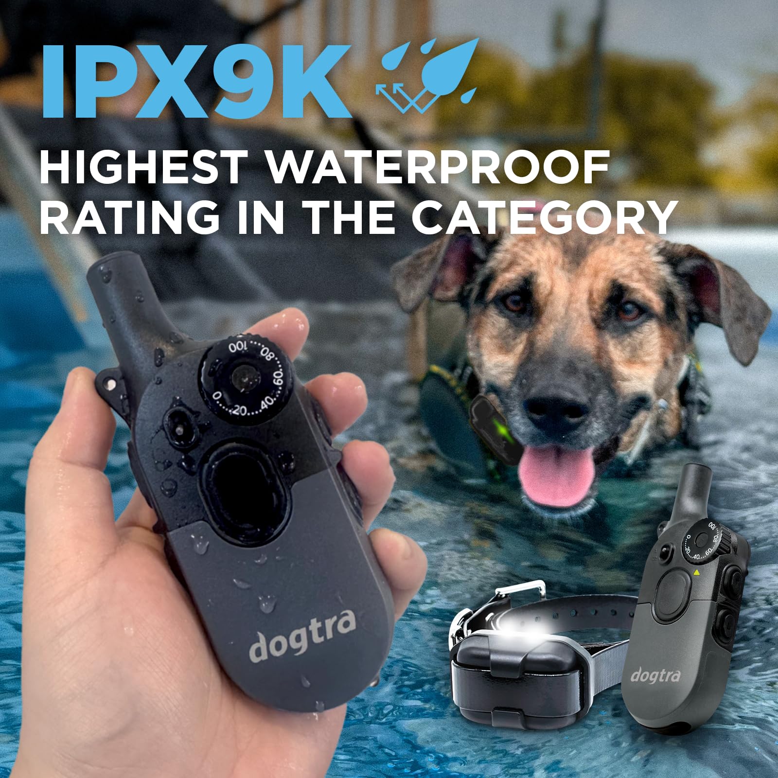 Dogtra 200iQ expandable to two dogs for growing packs.