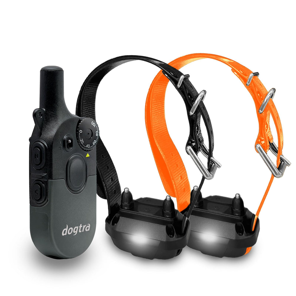 Dogtra 200iQ two-dog setup guiding both dogs on walks.