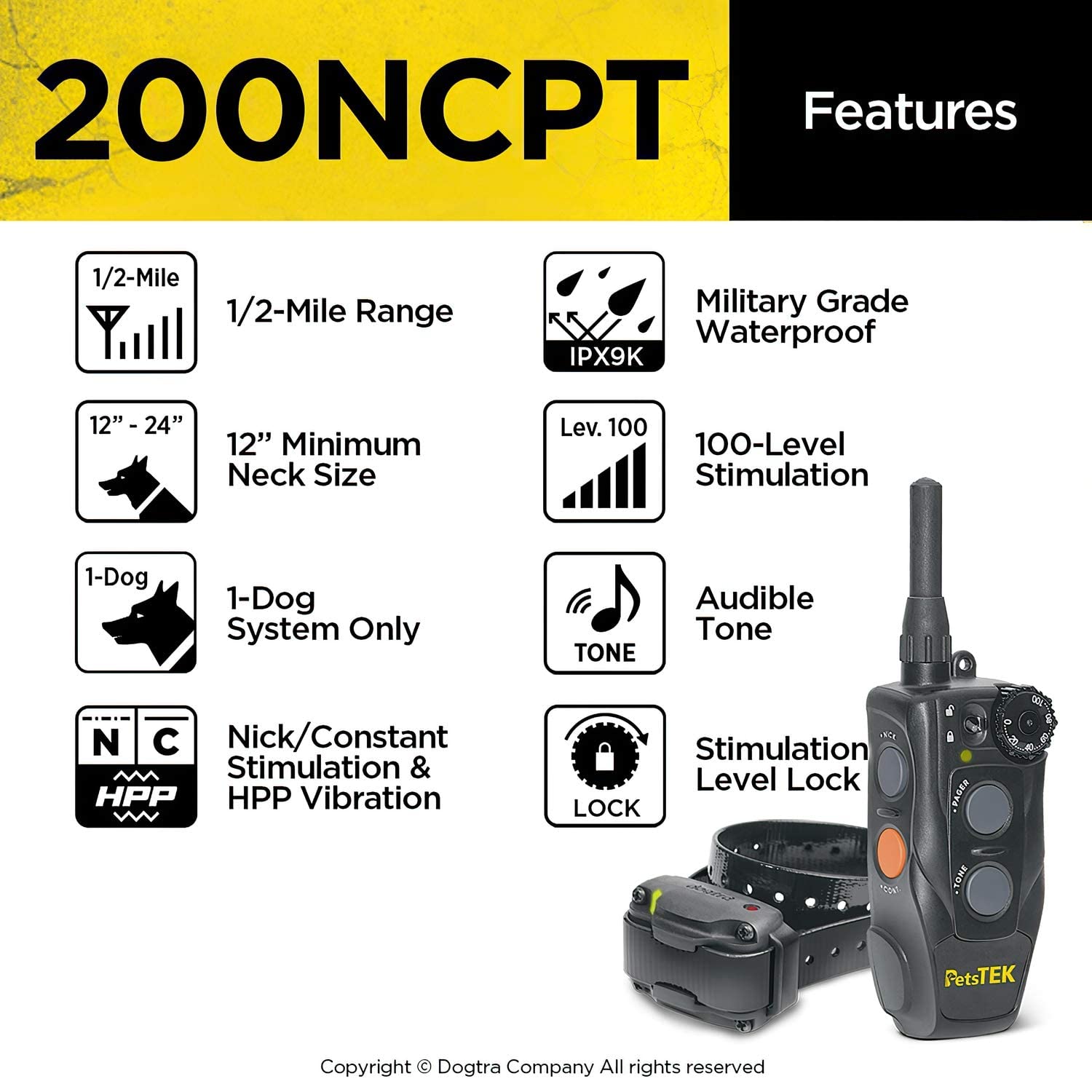 Dogtra 200NCPT collar shown for reliable outdoor behavior correction.