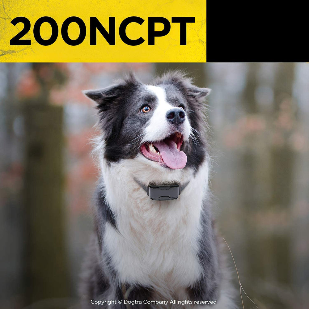 Dogtra 200NCPT level-lock feature prevents accidental level changes.