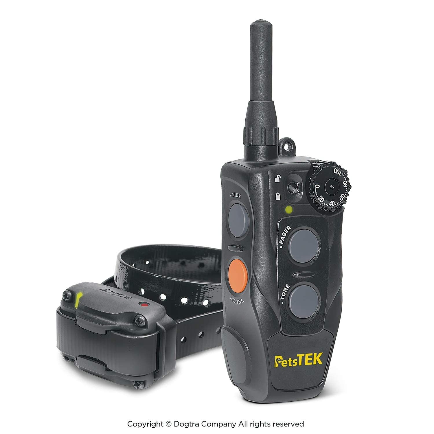 Dogtra 200NCPT rechargeable battery powering ongoing training sessions.