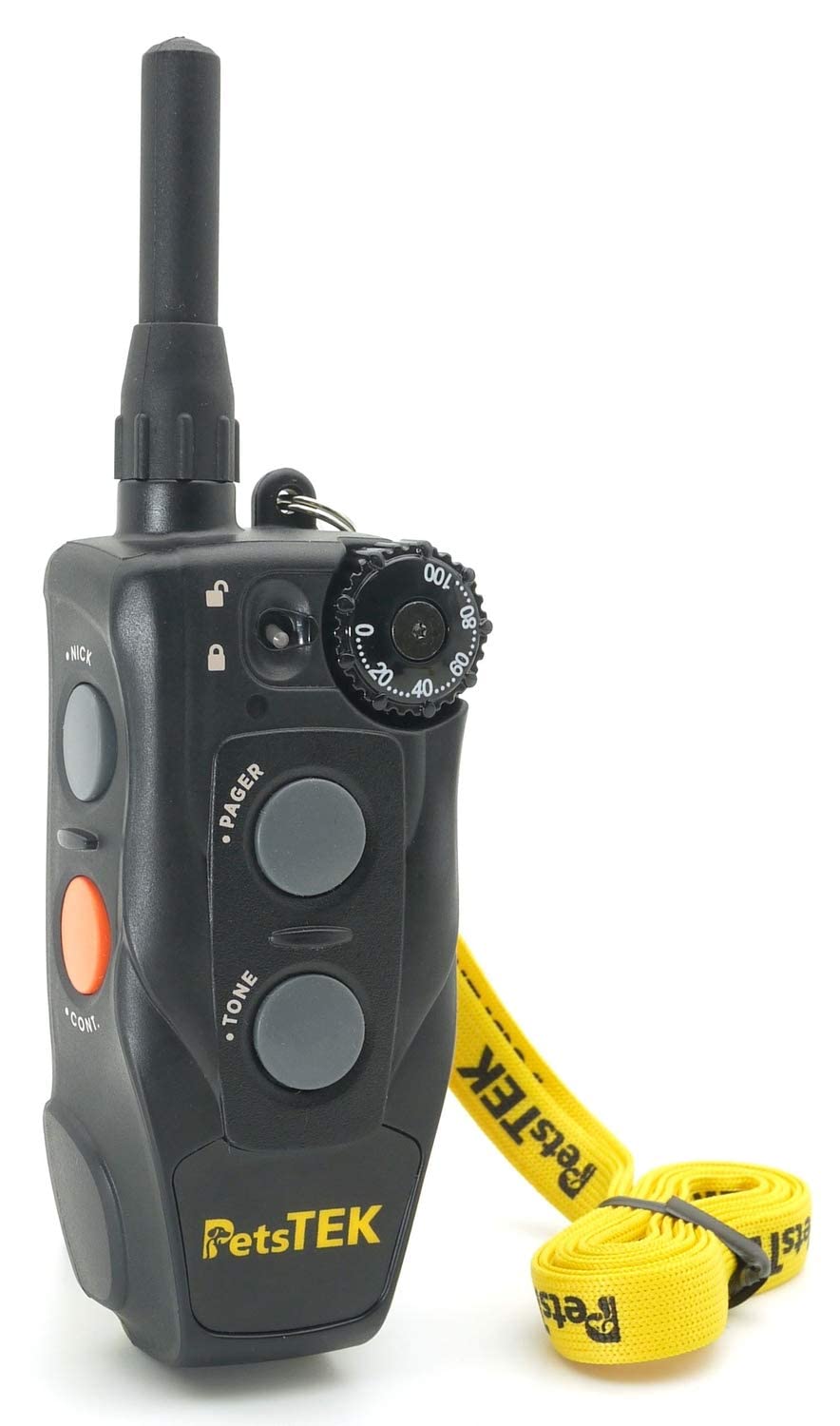 Dogtra 200NCPT waterproof collar ready for rain or water play.