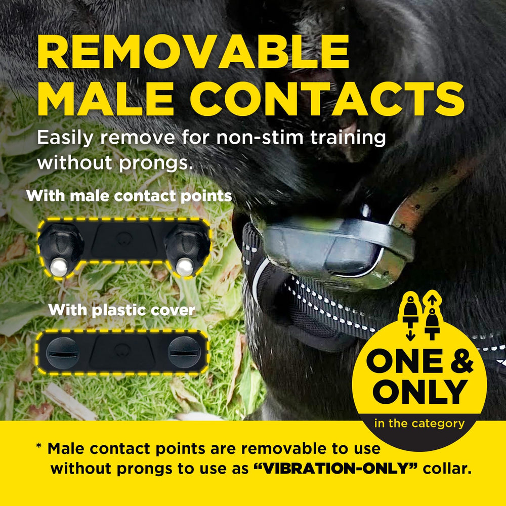Dogtra 280X compact system suits everyday dog training sessions.