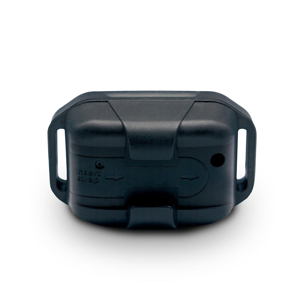 Dogtra 280X suitable for dogs 10 pounds and up in real-life training.