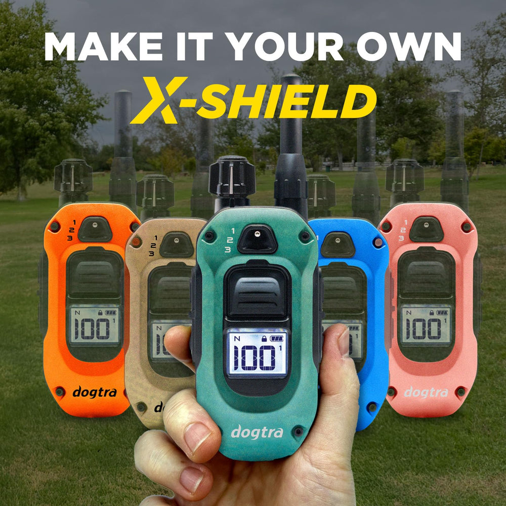 Dogtra 280X LED light enhances night safety during outdoor training.