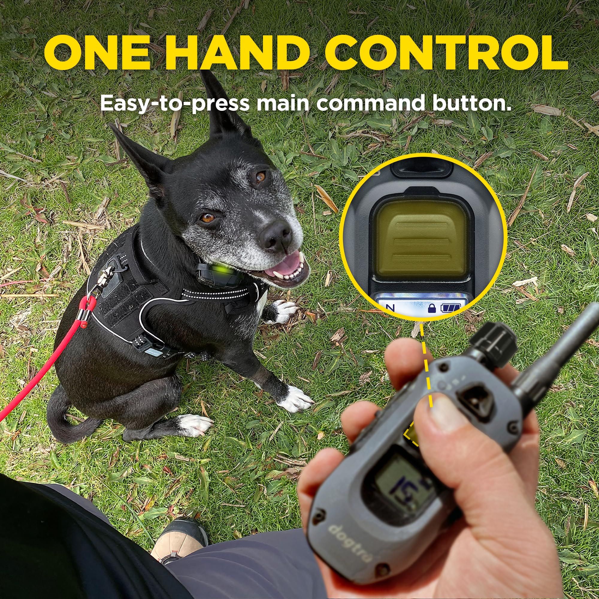 Dogtra 280X LED night light increases nighttime safety during walks.