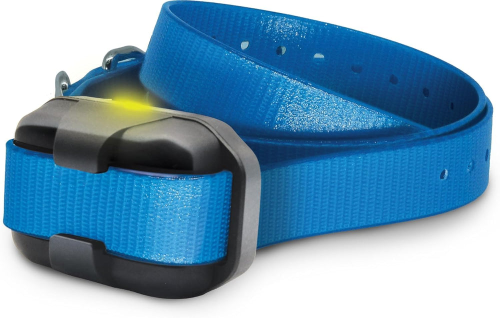 Dogtra 280X level lock prevents accidental switches during workouts.