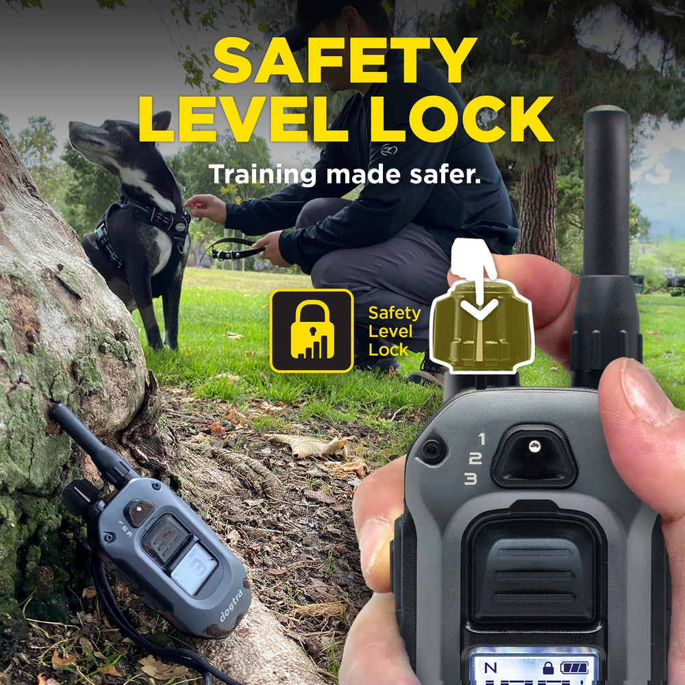 Dogtra 280X safety lock and removable points prevent accidental changes.