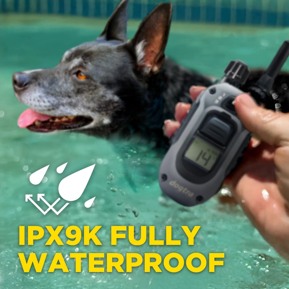 Dogtra 280X fits dogs 10 lbs and up for versatile training.