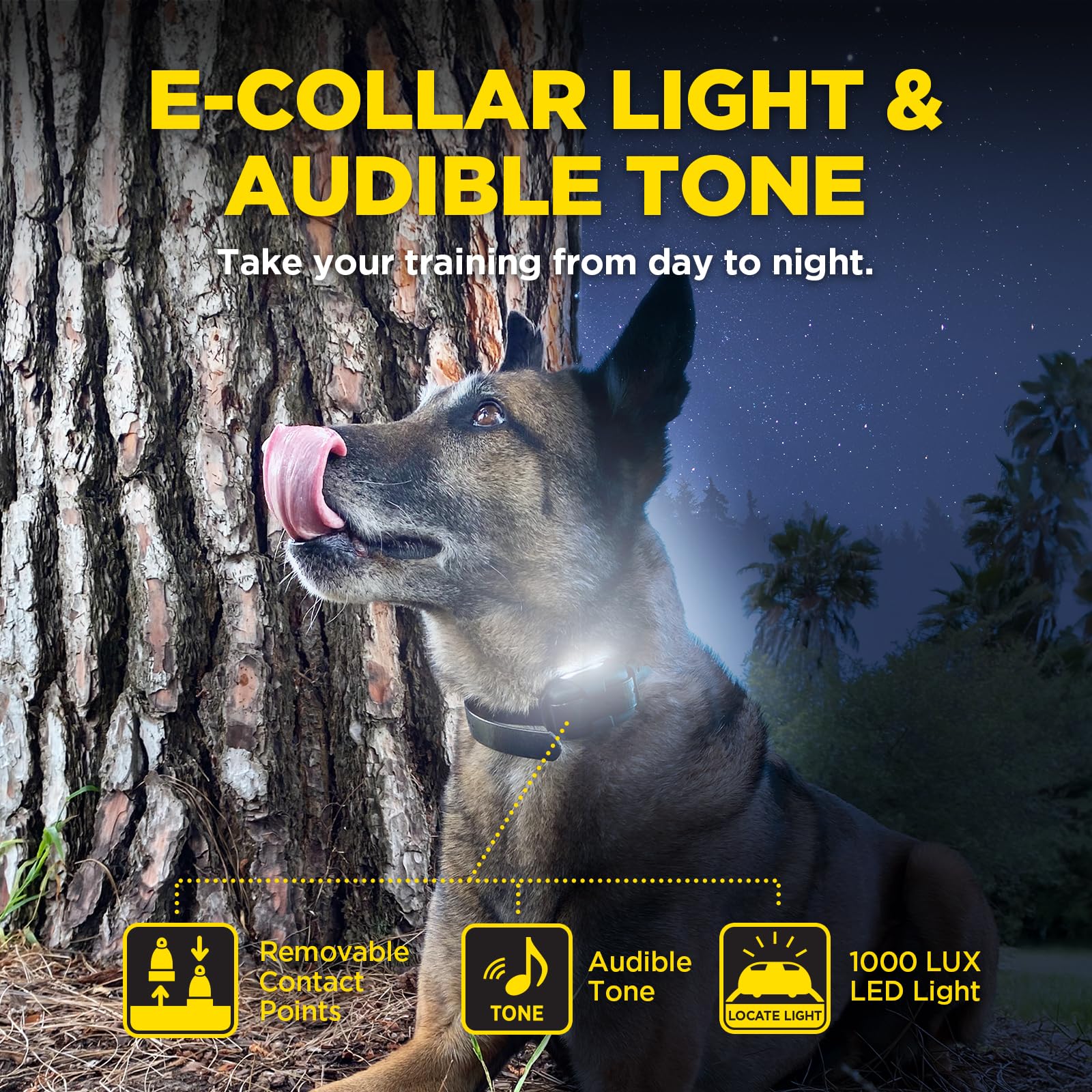 Dogtra 280X tone-vibration-boost aids recall in busy outdoor environments.