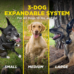 Dogtra 280X two-dog system enables coordinated training with one remote.