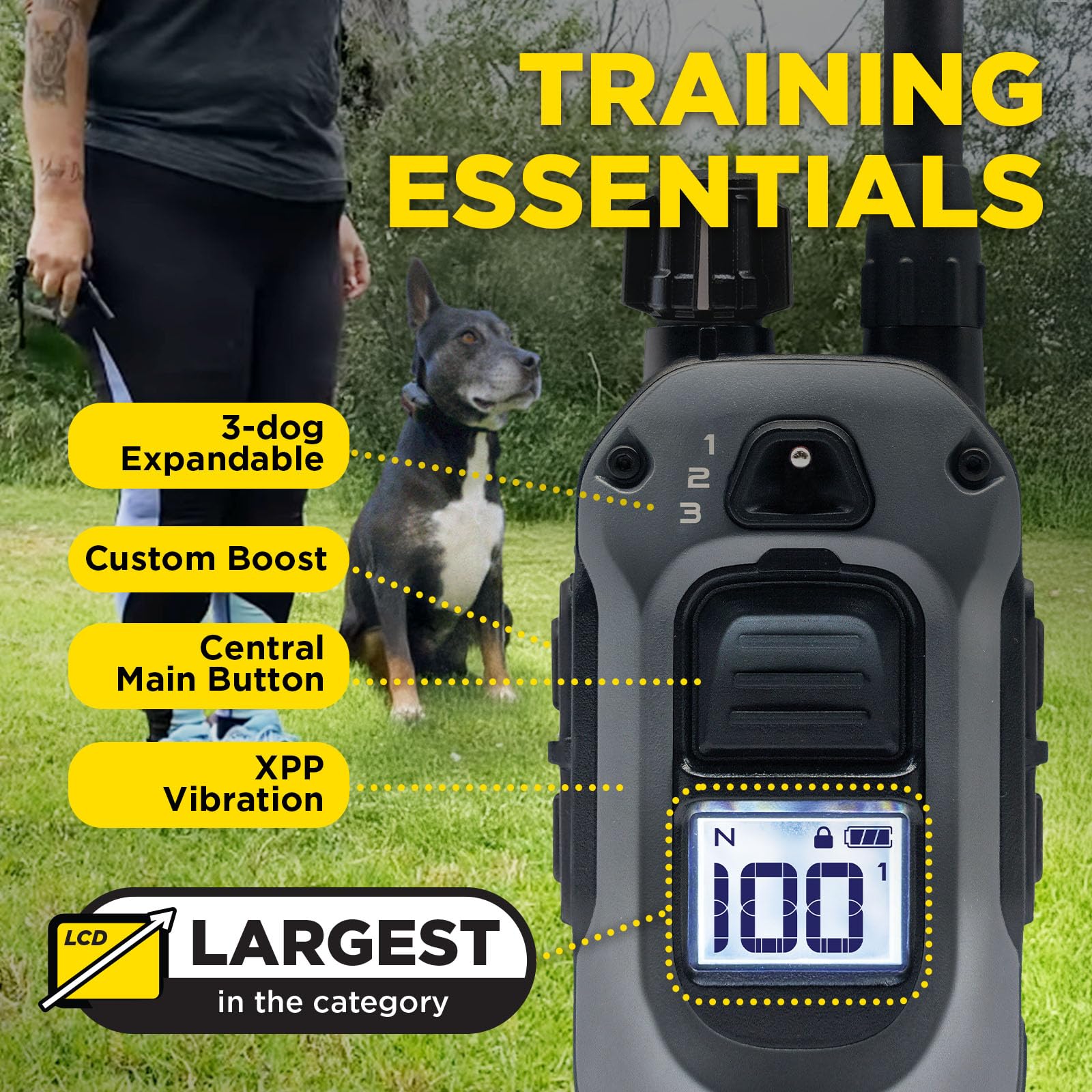 Dogtra 280X waterproof design handles rain, sand, and submersion.