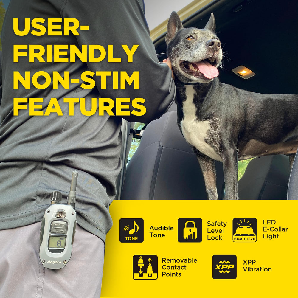 Dogtra 280X waterproof design stands up to rain, mud, and splashes.