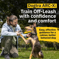Dogtra ARC-X receiver on dog showing secure fit for training