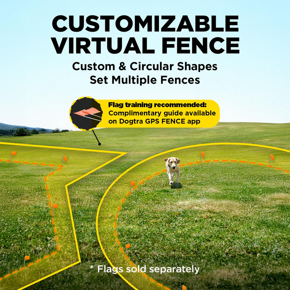 Vibrant boundary markers help the dog learn the virtual perimeter quickly.