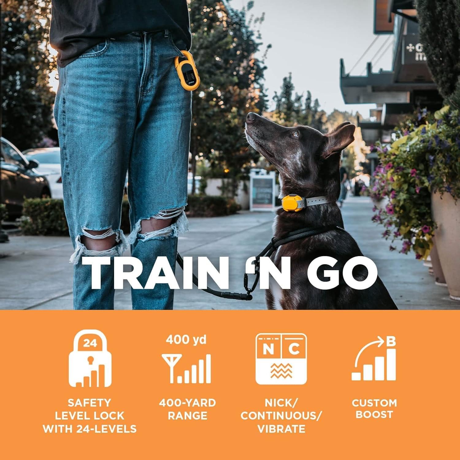 Dogtra CUE Yellow LCD screen visible for quick control during walks.
