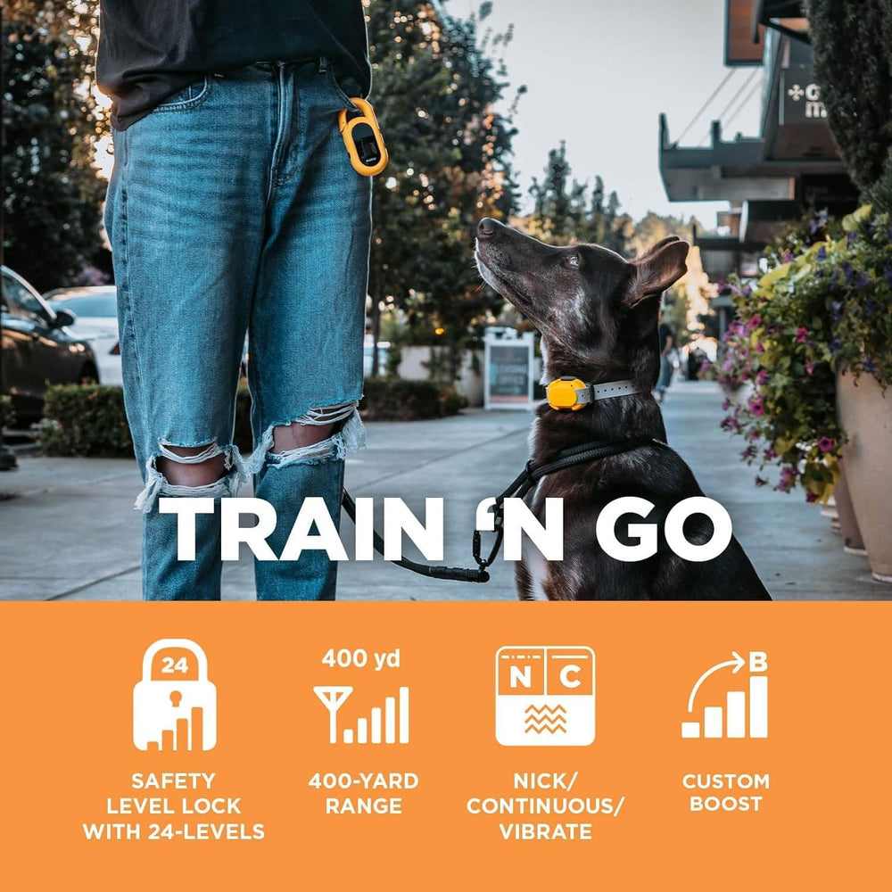 Dogtra CUE Yellow LCD screen visible for quick control during walks.