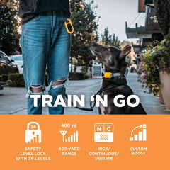 Dogtra CUE Yellow LCD screen visible for quick control during walks.