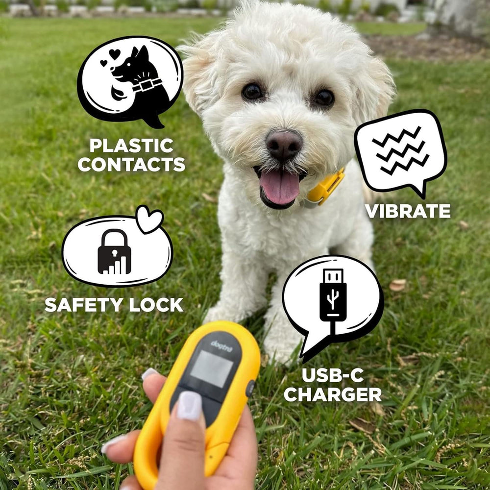 Dogtra CUE Yellow receiver waterproof for rain and outdoor training.