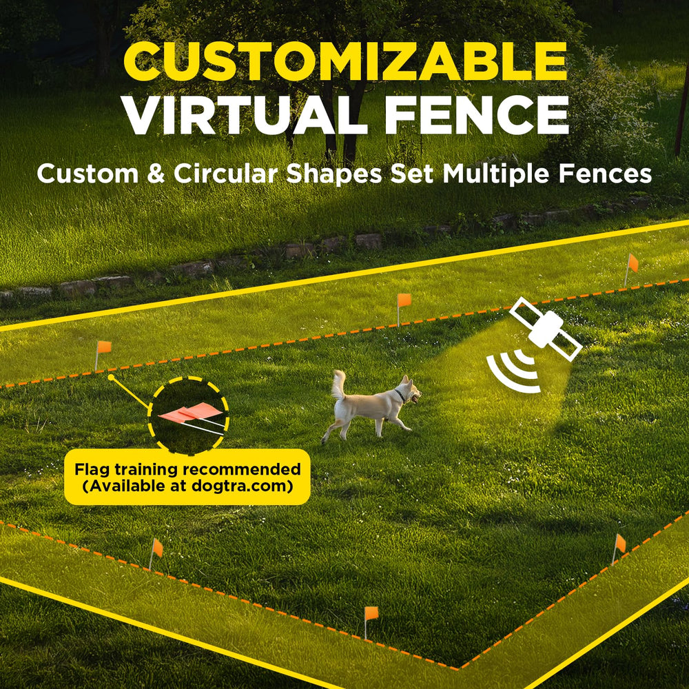 Precise 8-foot spacing helps cover about a quarter acre for yard training.