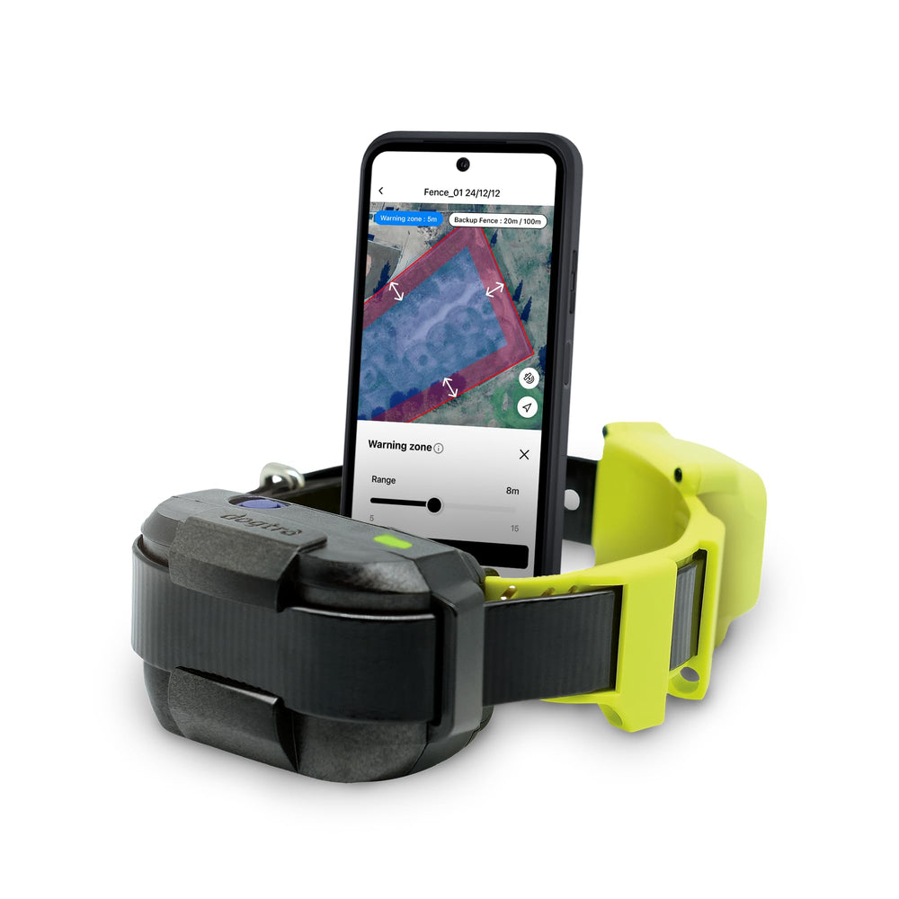 Dogtra GPS Fence collar demonstrates boundary setup for a secure outdoor space
