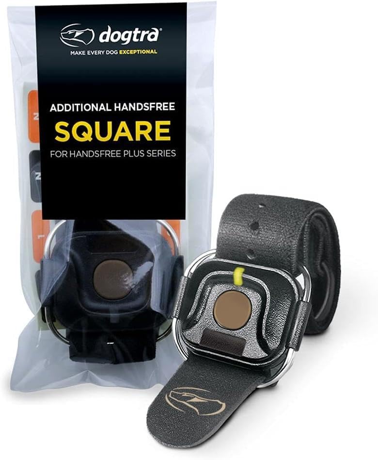 Dogtra HANDSFREE Square used during dog training scenarios for hands-free control.