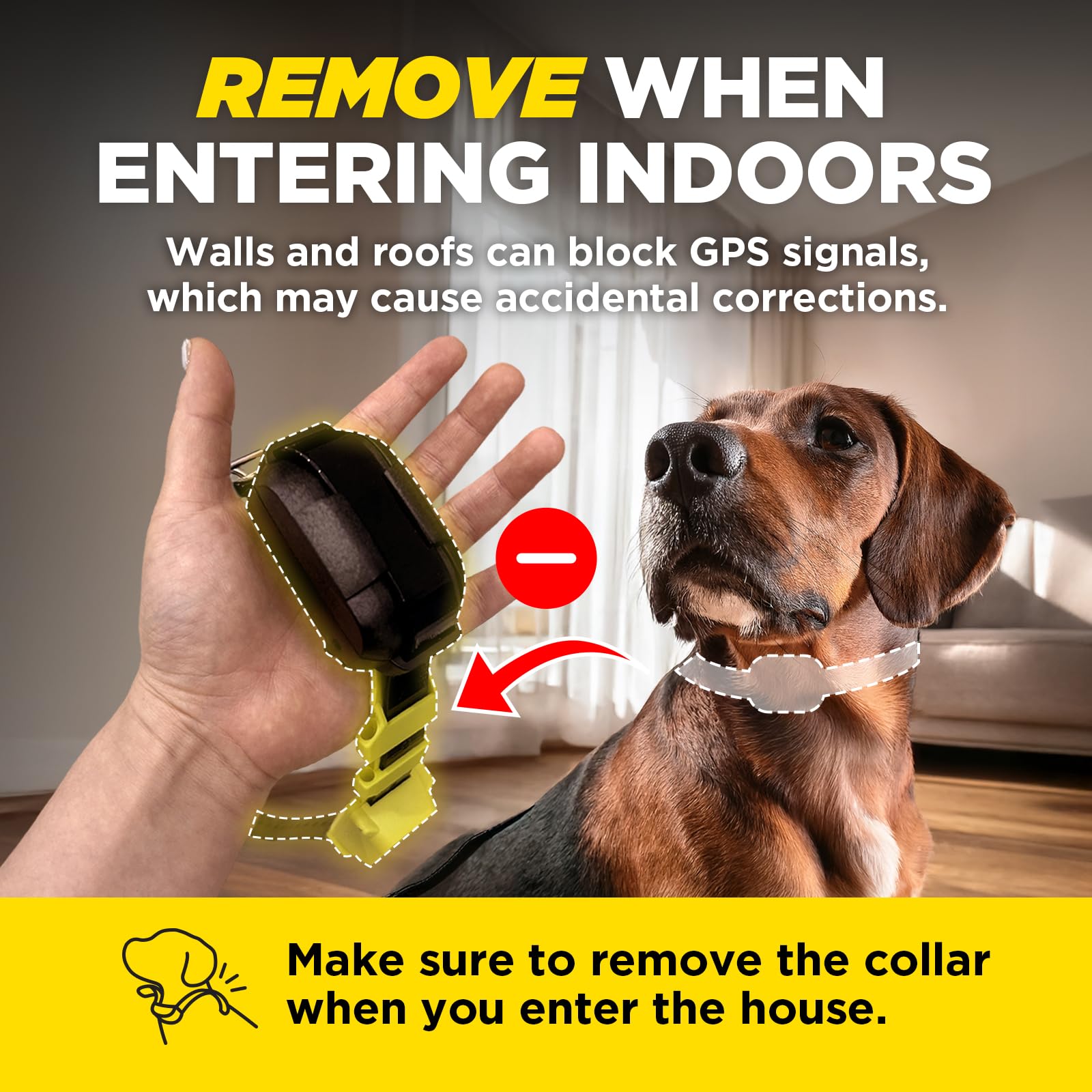 Dogtra IPX9K waterproof collar ready for outdoor adventures
