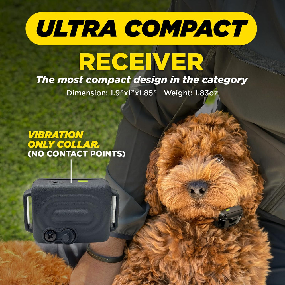 Safety delay on iQ Vibe creates a clear response rhythm for dogs.
