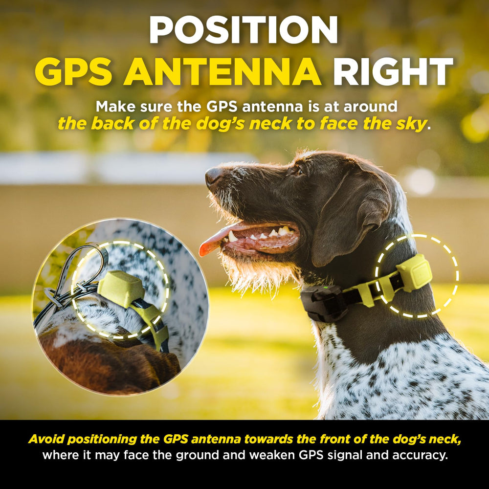 Dogtra multi-dog support shares fence profile via app