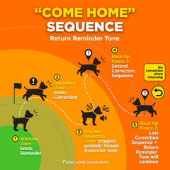 Dogtra GPS Fence quick setup without wires or monthly fees