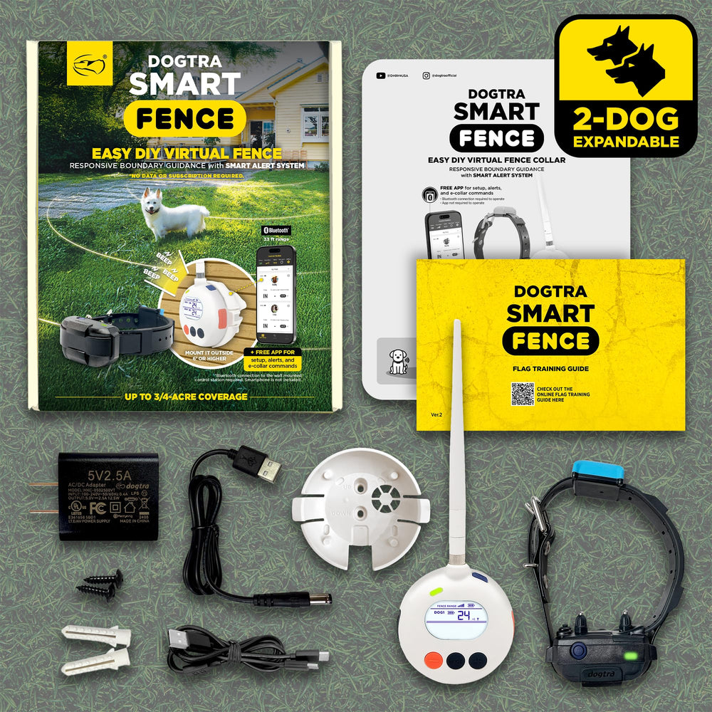 Dogtra SMART Fence outdoor mount ensures stable signal outdoors