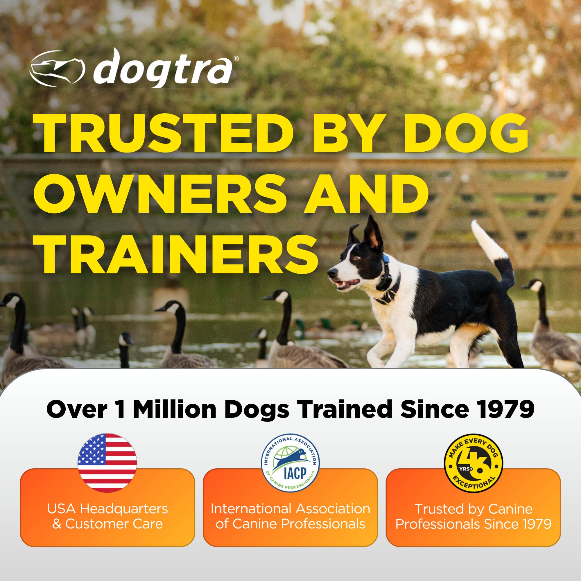Dogtra SMART Fence US-based support for setup help and troubleshooting