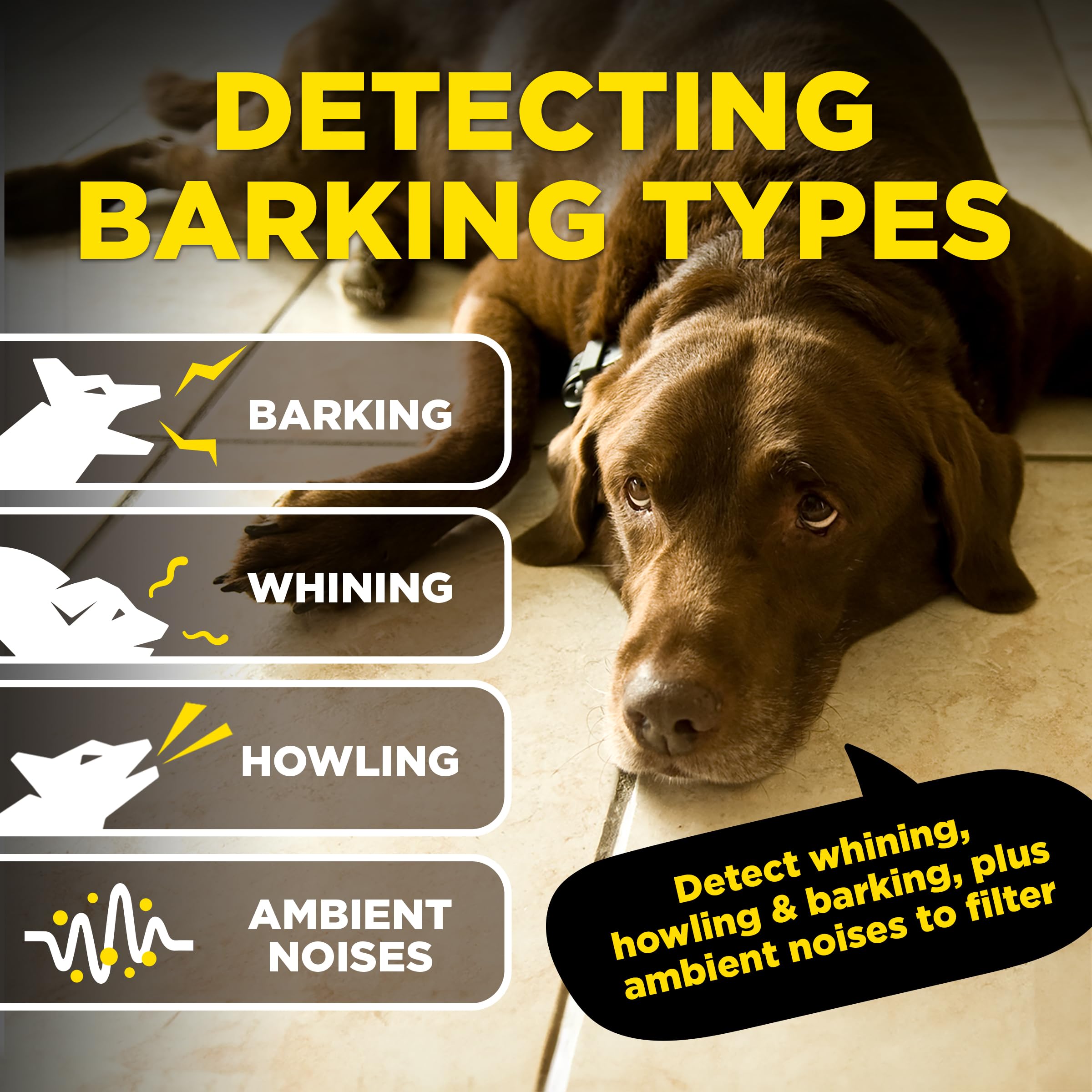 Dogtra Smart NOBARK app interface for easy setup and real-time notifications.