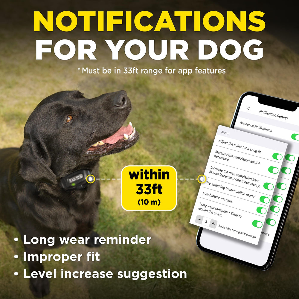 Dogtra Smart NOBARK Barkmeter reports progress and trends.
