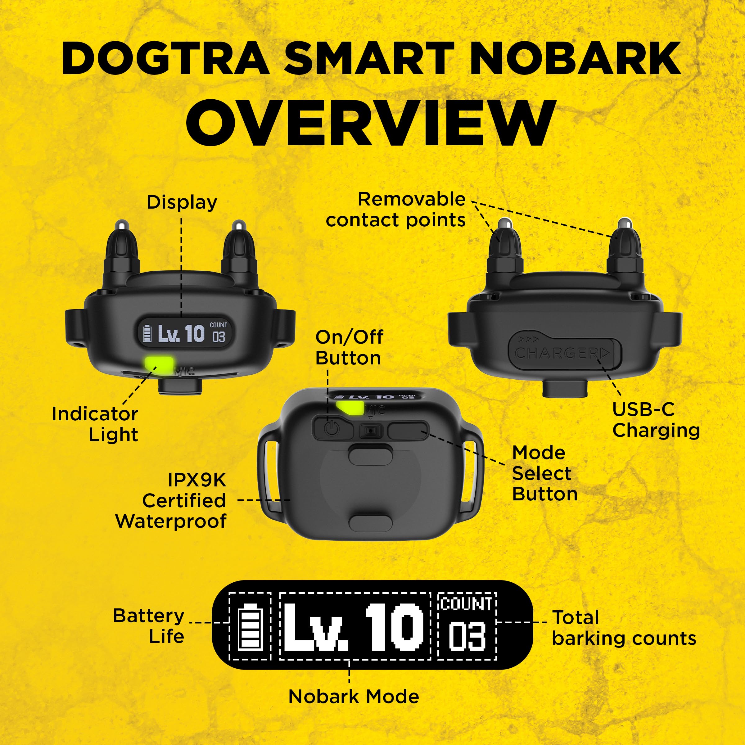 Dogtra Smart NOBARK compact fit for 10 lb dogs.