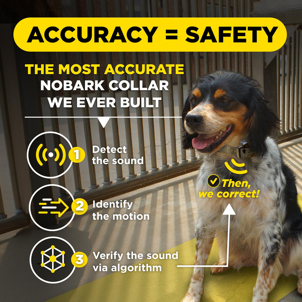 Dogtra Smart NOBARK triple-detection processing visual highlighting accuracy.
