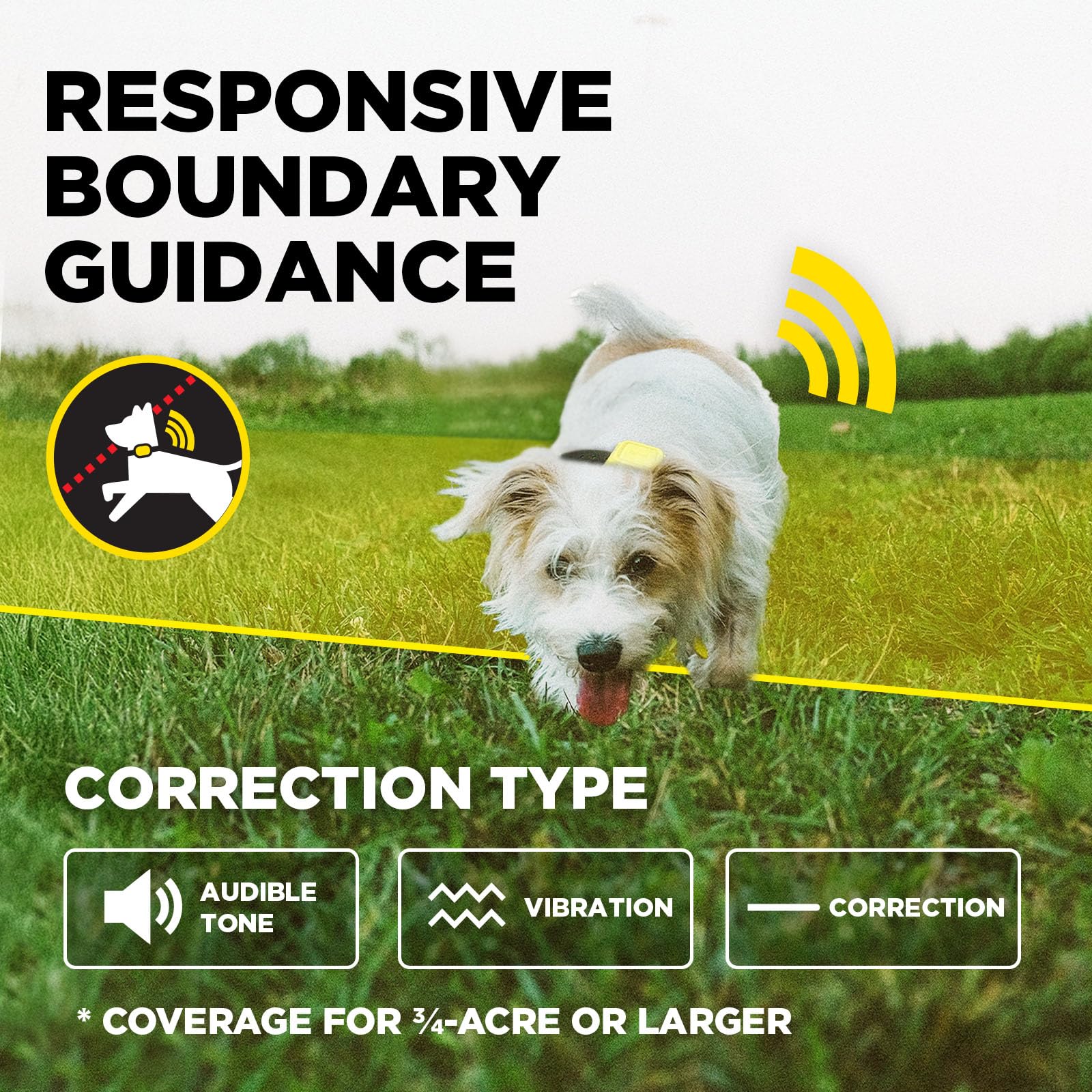 Dogtra support team behind the product for guidance