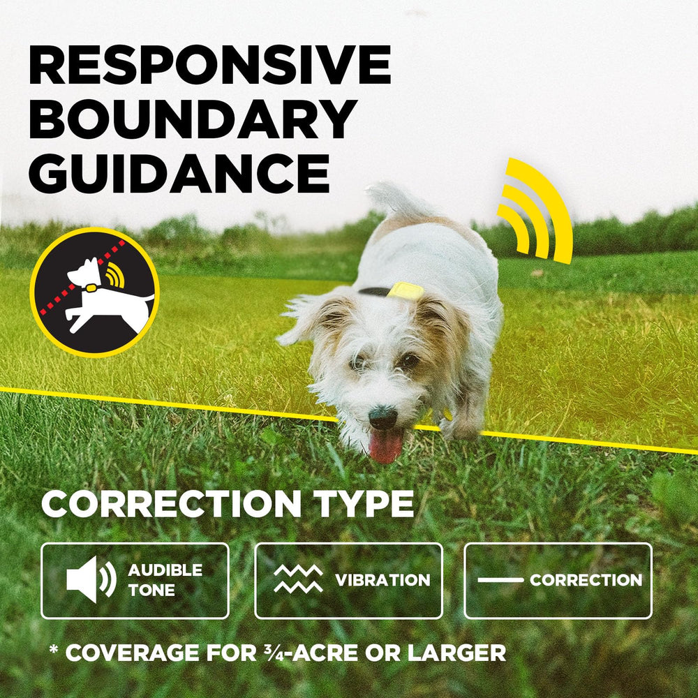 Dogtra support team behind the product for guidance