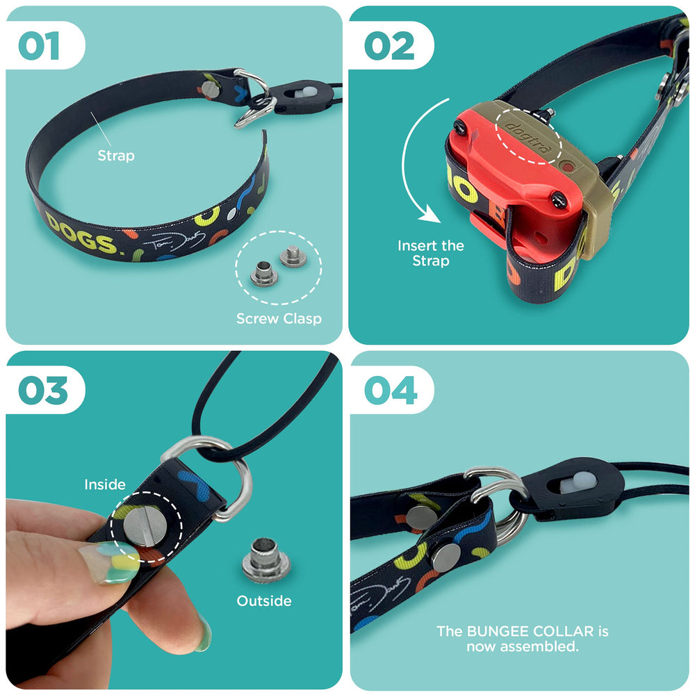 Dogtra Tom Davis Bungee Collar compatible with 3/4 inch receivers including 280C.